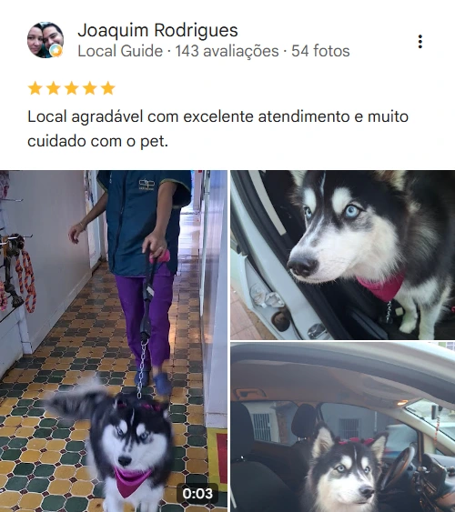 Avaliação 5 estrelas