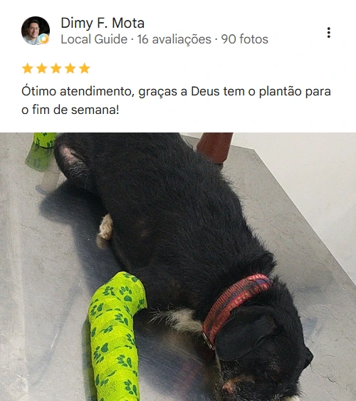 Avaliação 5 estrelas