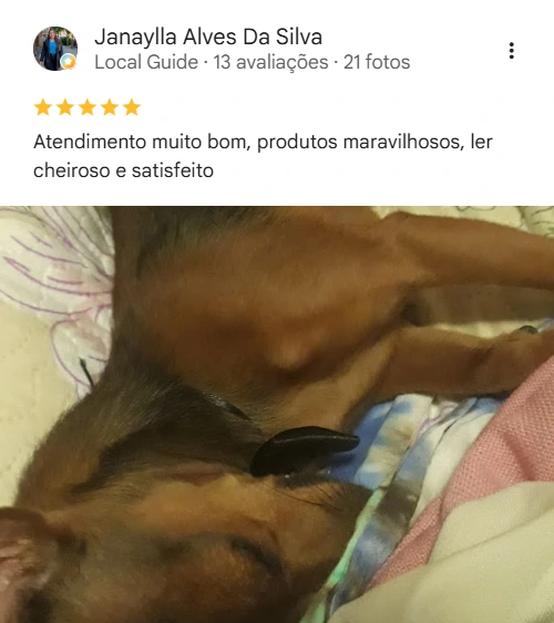Avaliação 5 estrelas